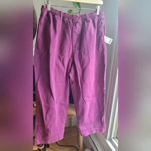 Urban Outfitters Pants. Size L.